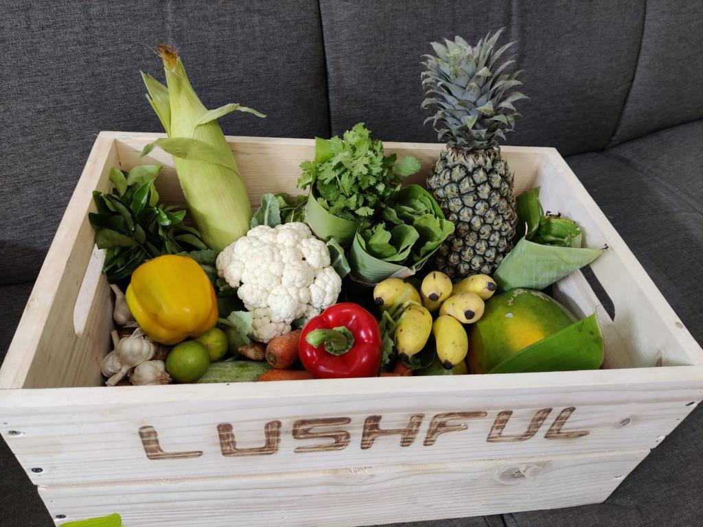 Combo Organic Basket (Fruits + Vegetables) for 2 people