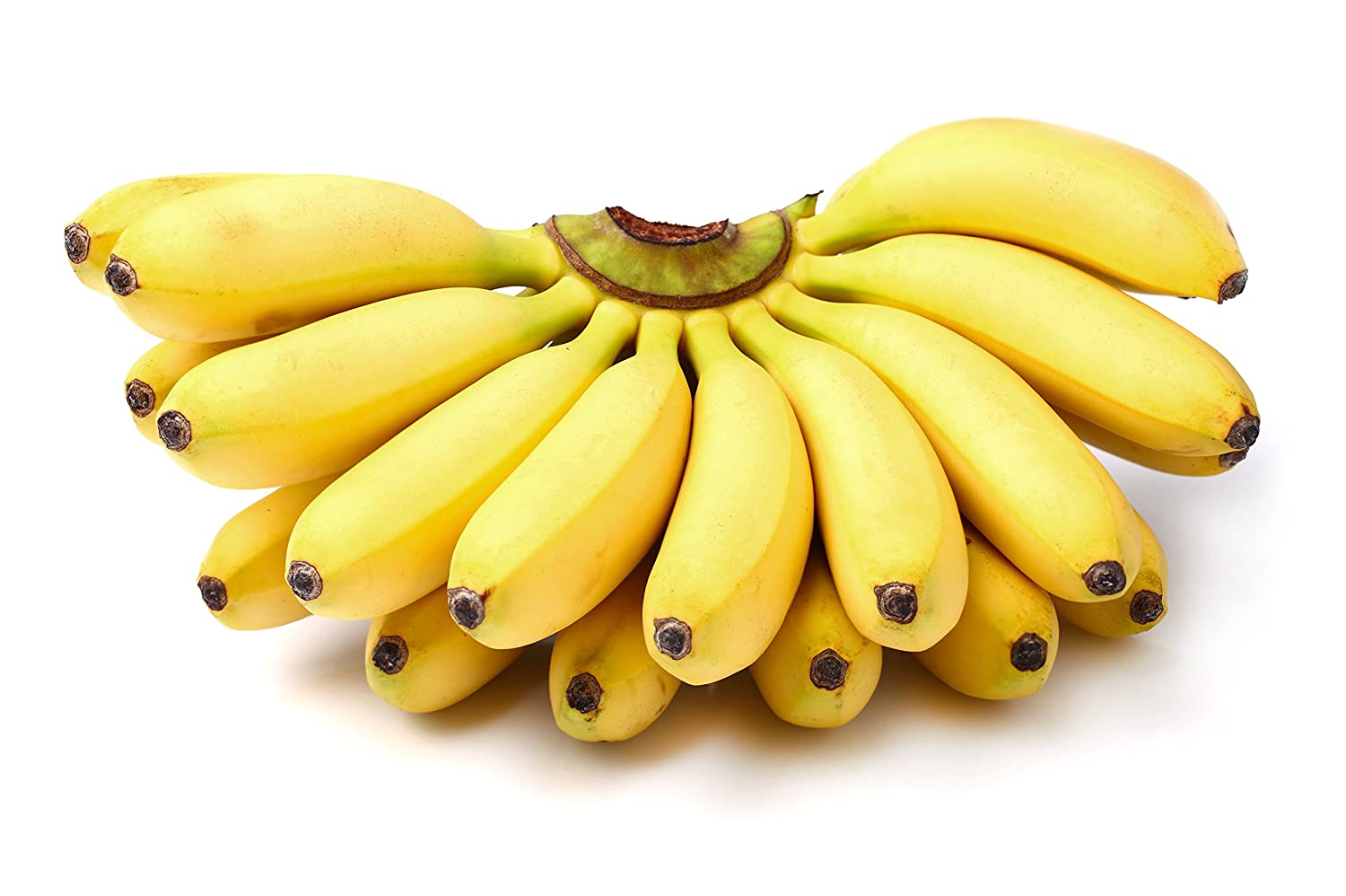 Banana Yelakki