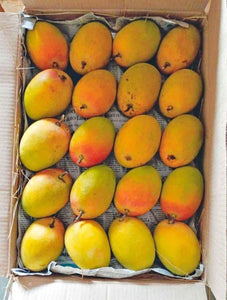 Mango Alphonso Ratnagiri (3 pcs)