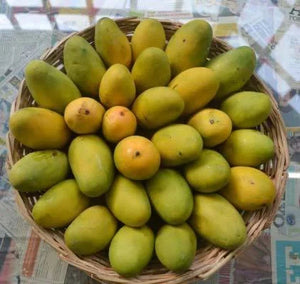 Mango Dasheri