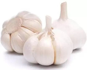 Garlic Hybrid