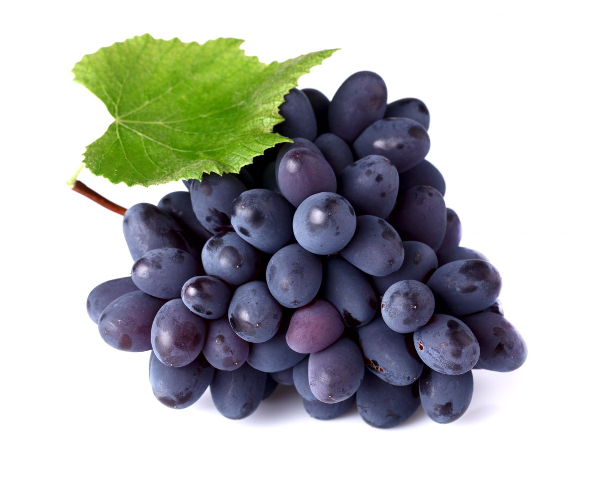 Grapes Sharad Black